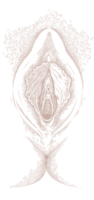 vulva 10.4. RGB Wheat