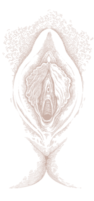 vulva 10.4. RGB Wheat vulva 10.4. RGB Wheat