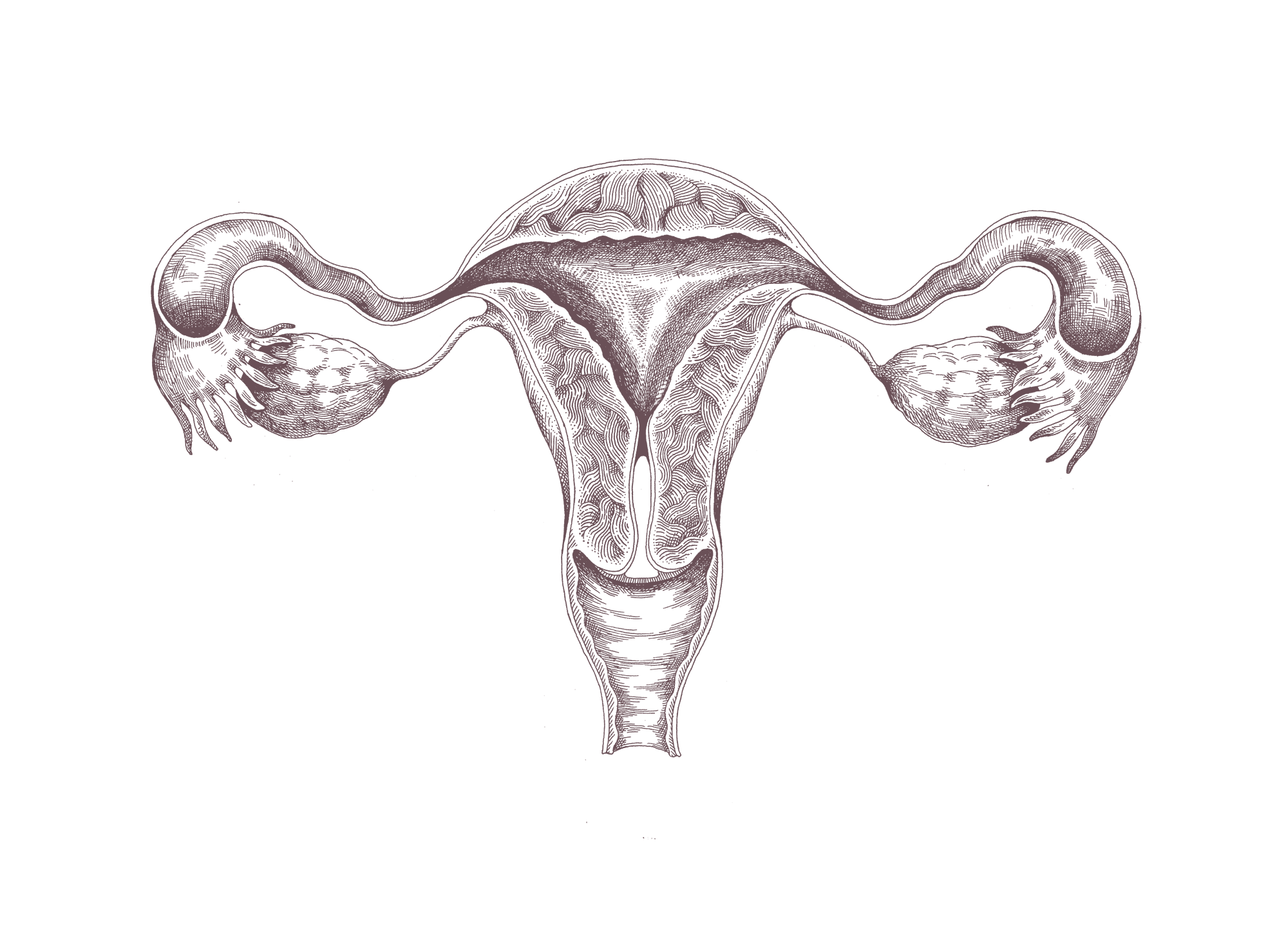 uterus-mocha (1)-1